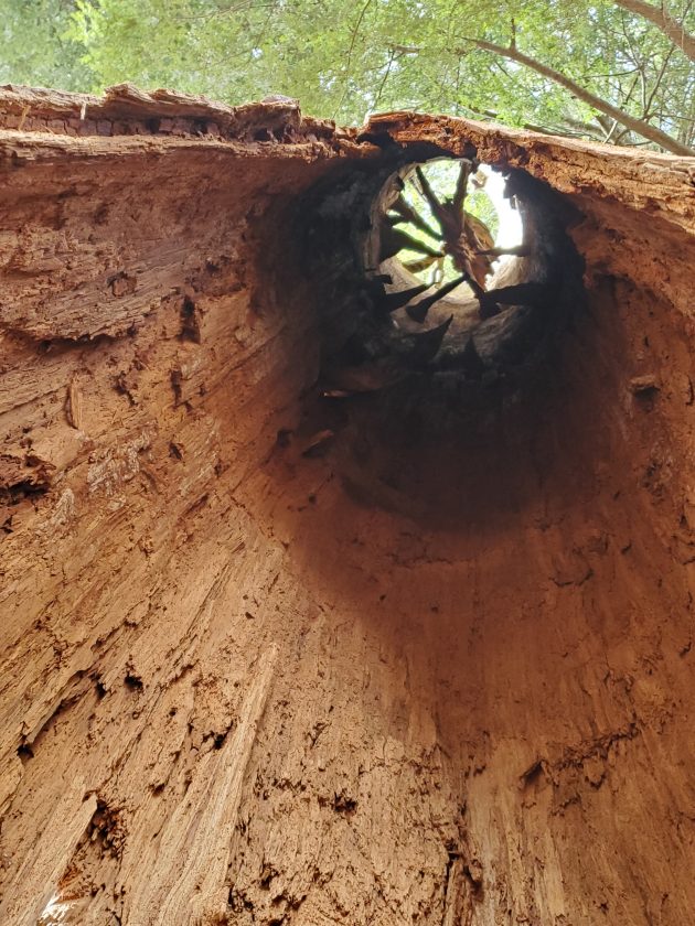 An inside perspective | News, Sports, Jobs - The Mining Journal - Vimarsana News